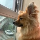 황자반놀이터 이미지