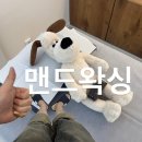 오송마을2안길 | 청주 오송 왁싱샵 맨드왁싱 프라이빗 남성전문 다리전체 리얼후기 오픈이벤트