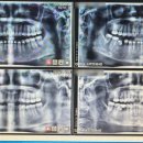 비에스치과교정과치과의원 이미지