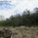 대기대상길 네이버블로그