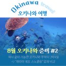 지노카서비스 | [8월 오키나와] &#34;더블트리 바이 힐튼 나하 호텔&#34; 선택한 이유 / 케라마제도 푸른동굴 스노쿨링 업체...
