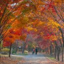 양재시민의 숲 4번출구 이미지