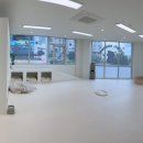 시오꾸꾸 이미지