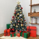 크리스마스 트리 이미지