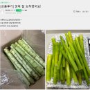 궁채 이미지