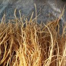 웰빙건강원 이미지