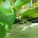 해피건강팜 이미지