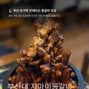 배고픈킹콩등갈비바베큐 | 부산 쪽갈비 손가락 안에 드는 맛집 부산대 자마미 등갈비