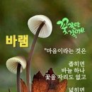 삶에는 승자도 패자도 없습니다 이미지