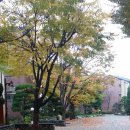 분당-324 이미지