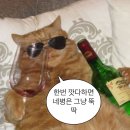 2023 april 3/3 : 어두움과 빛의 경계