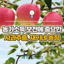 재기농장 이미지