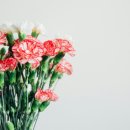 마로아