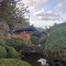 양수리 오리학교 | 양평 오리고기 평정한 오리학교 아시나요?