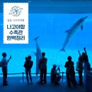 중부-현장-중부-1010 | 나고야항 수족관 티켓 예매 범고래 공연 시간표 관람동선 추천