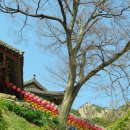 창녕 관룡사 법고 이미지