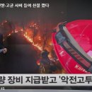 바이킹신발