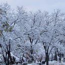 24.12.22.(일) . 아차산(295.7m). 용마산(348m) . . 대장 노점호.조정희 이미지