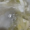 무교동홍낙(수서점) 이미지