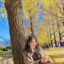 아리랑국제결혼 | 베트남 국제결혼은 아리랑 국제결혼에서!