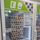 착한계란할인점