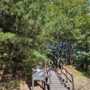 천태산농원 이미지