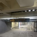 (주)바이크트립 | 2025 코모도 트립 (1) 라부안바조