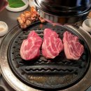 땅코참숯구이강남역
