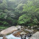 내원계곡라온펜션 이미지