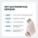 학익동물병원 이미지