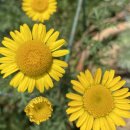 보아공인중개사사무소 이미지