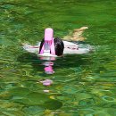 6-2-농 영농조합법인 이미지