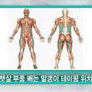 태와선 네이버블로그