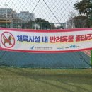 영마루공원 배드민턴장 네이버블로그