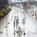 온천천일대13 이미지