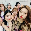 위미 이미지
