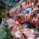 중 돼지열병 창궐에 글로벌 돼지고깃값 '비상' 이미지