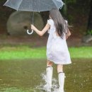 “신발, 비에 흠뻑 젖었다면?”⋯‘이 가루’ 한 스푼의 놀라운 효과 이미지