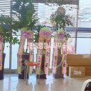 김진광 행정사 사무소 이미지