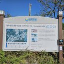 남파랑길 49-1코스【진월초등학교 ~ 배알도 수변공원】 이미지