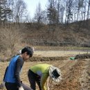 충만농장 이미지