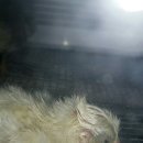 성계농장 이미지