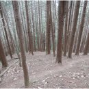 제149회 정기산행(9월24일) 전북 완주 경각산(659m) , 편백나무숲 힐링 산행 이미지
