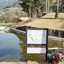 에버리오골프클럽 | [경산 파3 골프장]에버리오 골프클럽,어프로치 &amp; 퍼팅 연습 추천,여자는 드라이버 가능해요