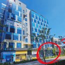 6층 이화약국 이미지