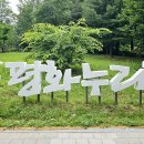 종합운동장 가로수길 이미지