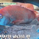 흑산도홍어회 이미지