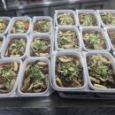 부여군청 | 부여군청 맛집 현지인 추천 근처 단체주문도 가능한 식당