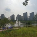 라인파라곤공인중개사사무소 이미지