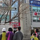 시내권 투어 1 이미지